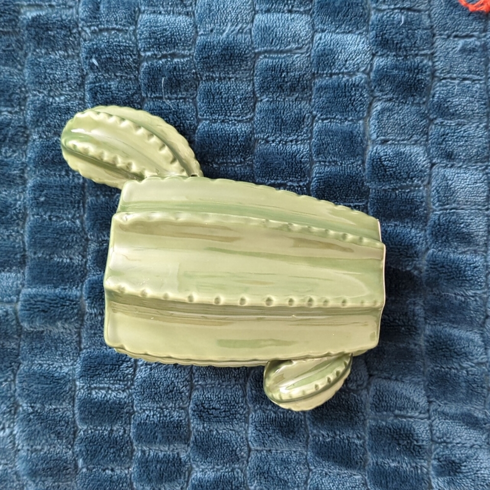 Cactus Decor